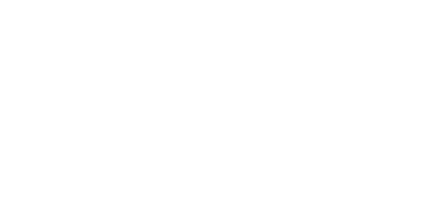The Bethesda Chiropractic & Rehabilitation website header logo
